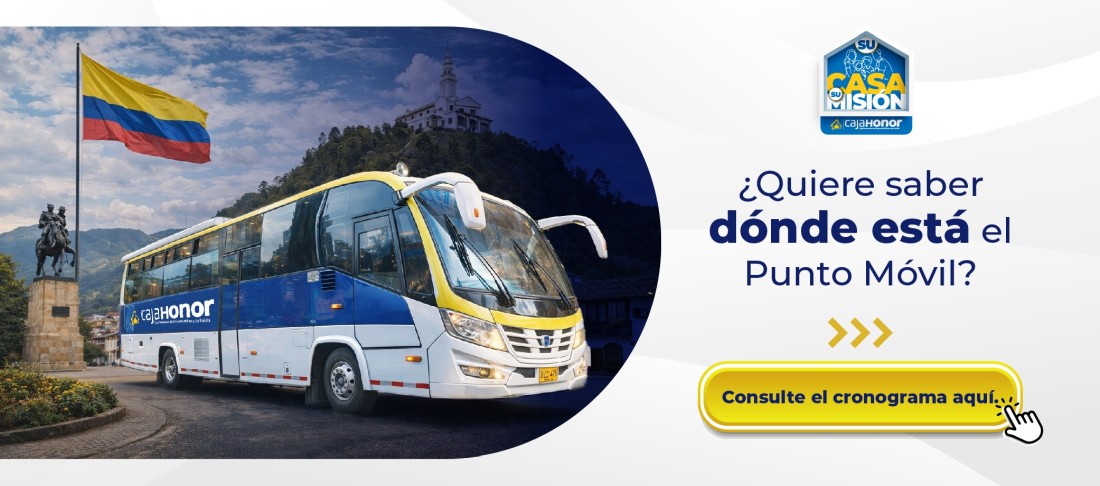 Punto movil Cronograma
